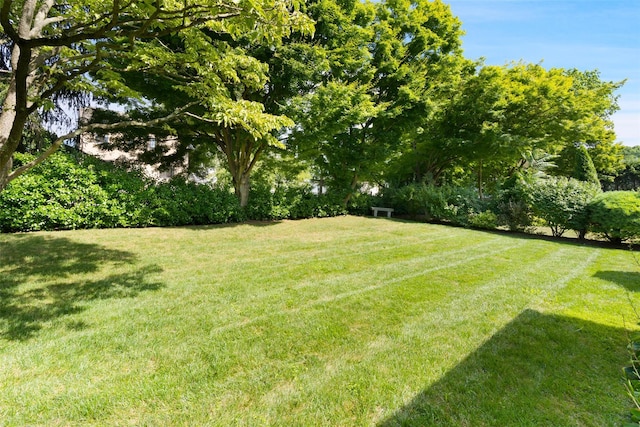 61 Tamarack Rd, Rye Brook, NY 10573 - view of green lawn