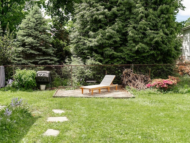 511 Grand Ave, Newburgh, NY 12550 - view of yard