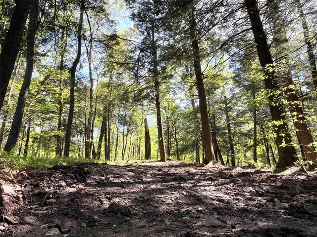 153 Eagles Ridge Way, Parksville, NY 12768