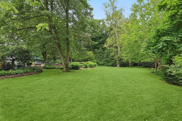 2 Shady Meadow Ln, Syosset, NY 11791 - view of grassy yard