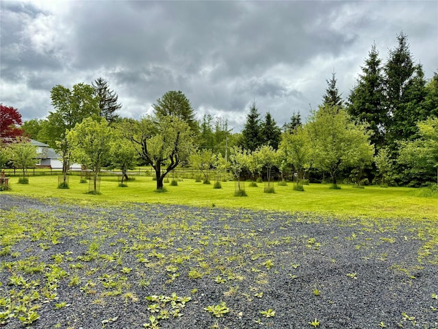 38 Moscoe Rd, White Lake, NY 12786 - photo 12