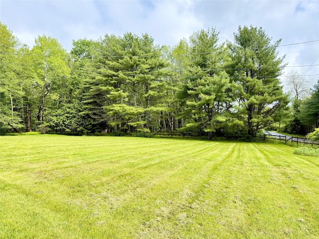 38 Moscoe Rd, White Lake, NY 12786 - photo 32