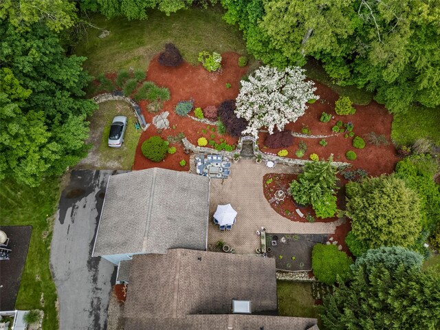 266 Shear Hill Rd, Mahopac, NY 10541 - photo 30