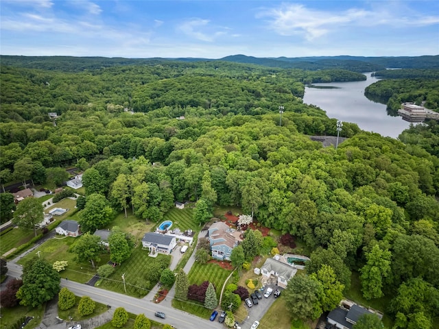 266 Shear Hill Rd, Mahopac, NY 10541 - photo 31