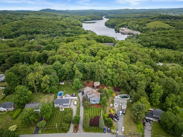266 Shear Hill Rd, Mahopac, NY 10541 - photo 33