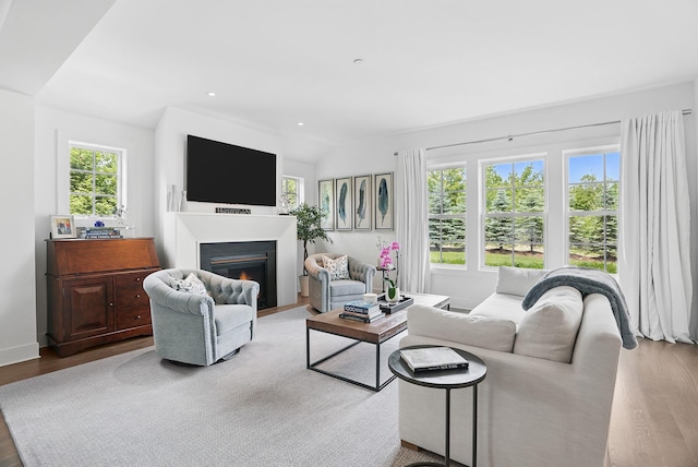 27 Lavender Ln, Rye Brook, NY 10573 - living area with wood finished floors, a lit fireplace, and recessed lighting