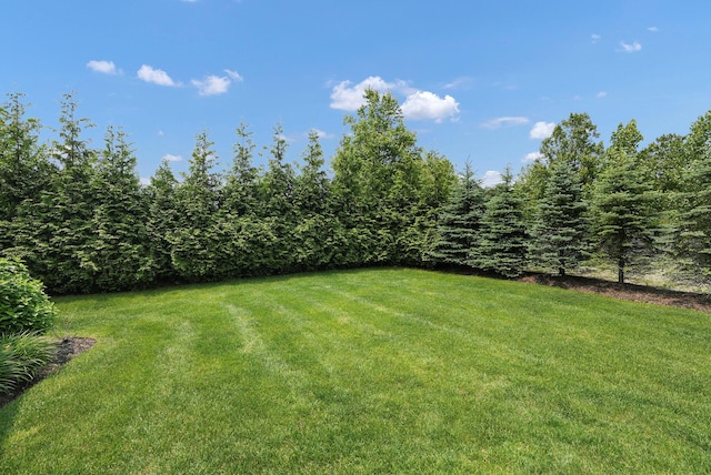27 Lavender Ln, Rye Brook, NY 10573 - view of green lawn