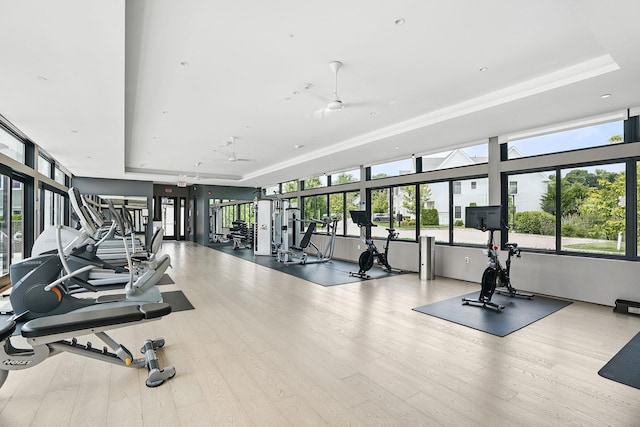 27 Lavender Ln, Rye Brook, NY 10573 - workout area with a tray ceiling, healthy amount of natural light, and ceiling fan