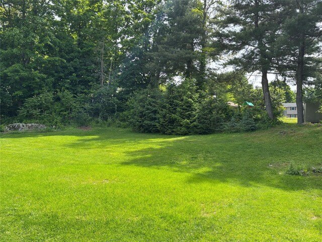 6 Windmill Rd, Poughkeepsie, NY 12601 - view of grassy yard