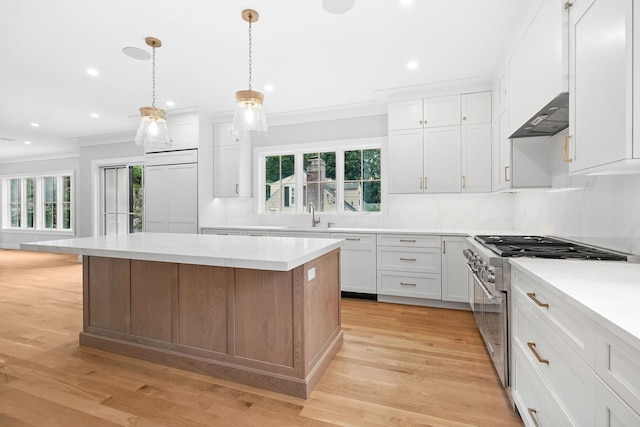 2 Lavender Ln, Rye, NY 10580 - kitchen with high end stove, crown molding, tasteful backsplash, a sink, and extractor fan