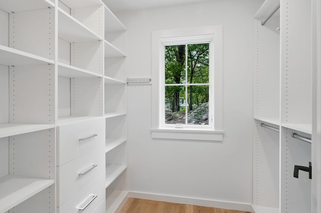 2 Lavender Ln, Rye, NY 10580 - walk in closet with light wood-style floors