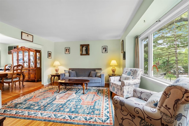1A Ward St, Suffern, NY 10901 - living room with wood finished floors, healthy amount of natural light, and baseboards
