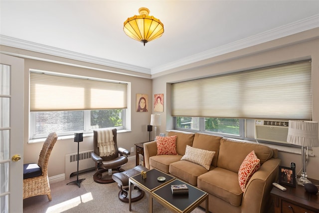50 Popham Rd Unit 4E, Scarsdale, NY 10583 - carpeted living area with radiator heating unit, crown molding, baseboards, and cooling unit