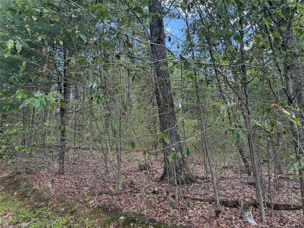 French Clearing Rd, Forestburgh, NY 12777 - photo 1