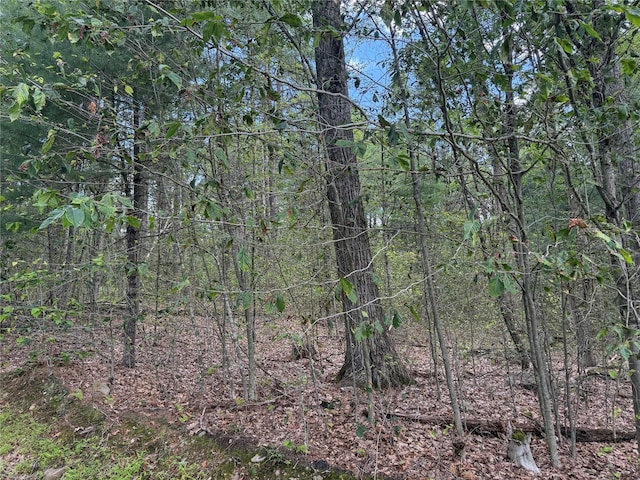 French Clearing Rd, Forestburgh, NY 12777 - photo 1