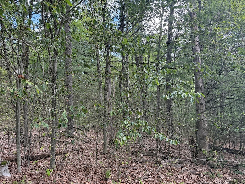 French Clearing Rd, Forestburgh, NY 12777 - photo 2