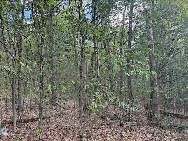 French Clearing Rd, Forestburgh, NY 12777 - photo 2