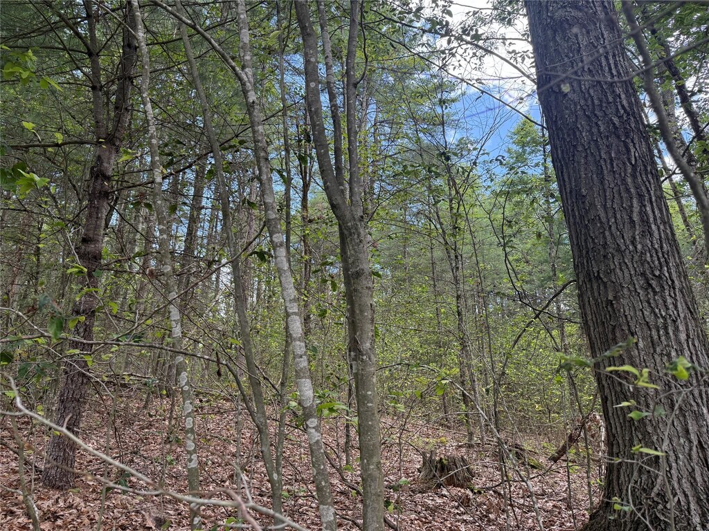 French Clearing Rd, Forestburgh, NY 12777 - photo 3