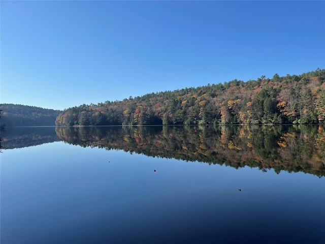 Plank Rd, Forestburgh, NY 12777