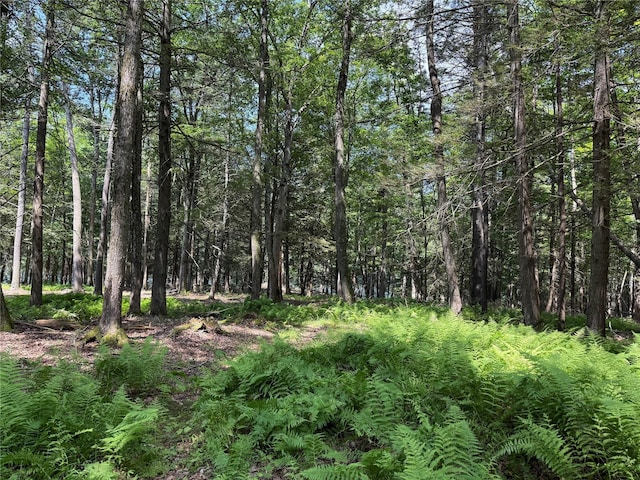 Plank Rd, Forestburgh, NY 12777