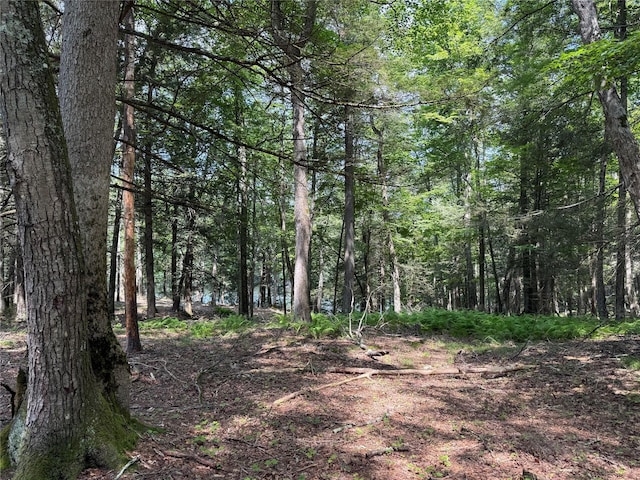 Plank Rd, Forestburgh, NY 12777