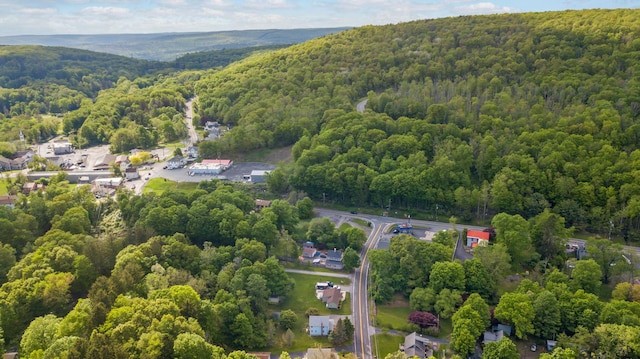 31 State St, Otisville, NY 10963 - photo 43
