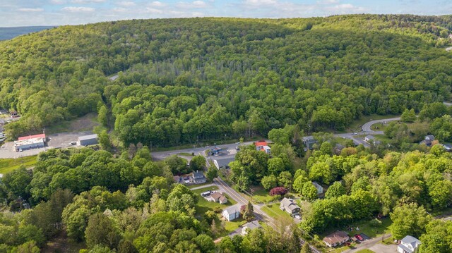 31 State St, Otisville, NY 10963 - photo 44