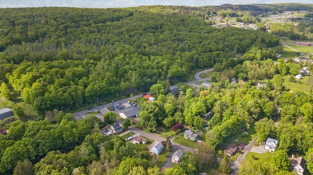 31 State St, Otisville, NY 10963 - photo 45