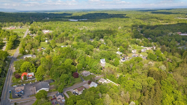 31 State St, Otisville, NY 10963 - photo 46