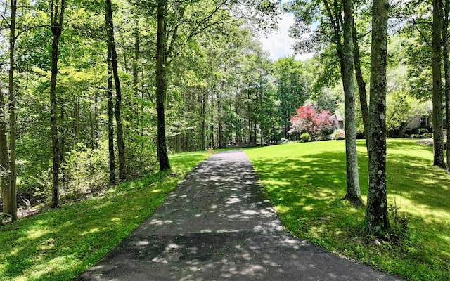 75 Susan Ln, Circleville, NY 10919 - view of road with a forest view