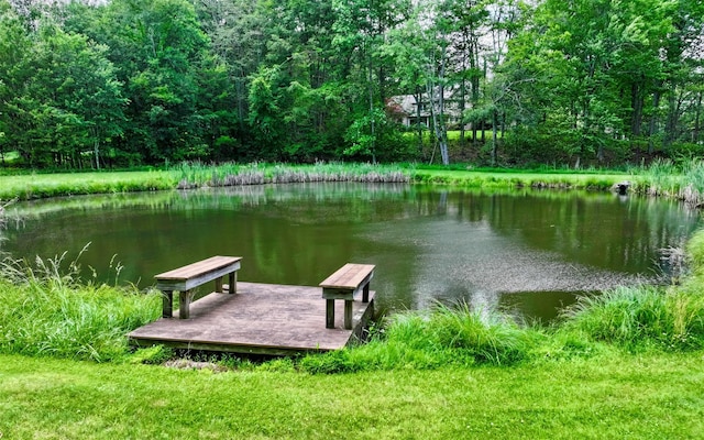 75 Susan Ln, Circleville, NY 10919 - dock featuring a water view and a wooded view