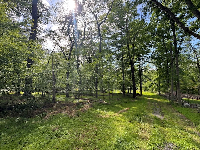 68 Union School Rd, Montgomery, NY 12549 - view of yard