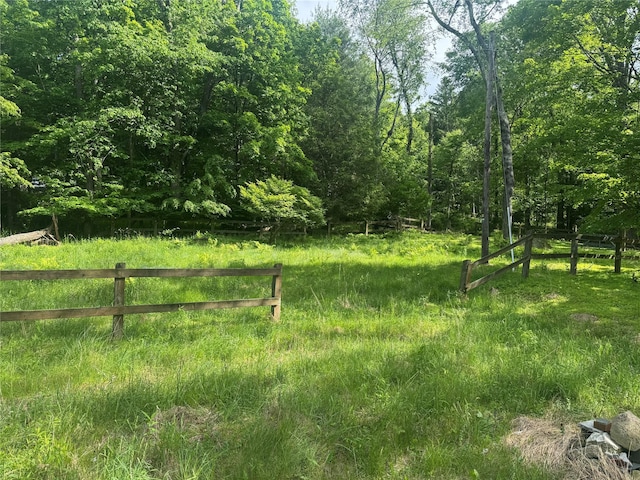 68 Union School Rd, Montgomery, NY 12549 - view of yard featuring a wooded view