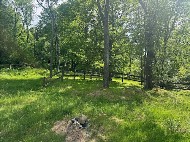 68 Union School Rd, Montgomery, NY 12549 - view of local wilderness