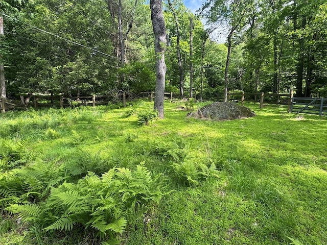68 Union School Rd, Montgomery, NY 12549 - view of local wilderness