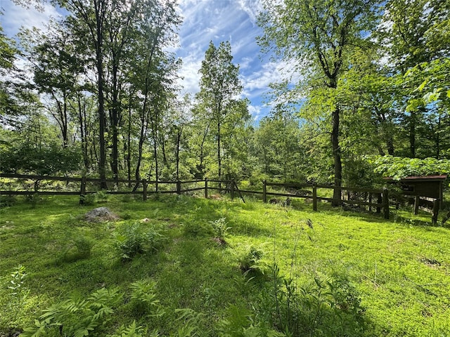 68 Union School Rd, Montgomery, NY 12549 - view of yard