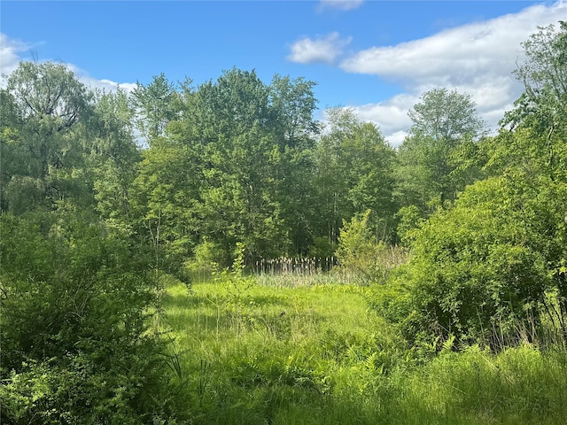 68 Union School Rd, Montgomery, NY 12549 - view of wooded area