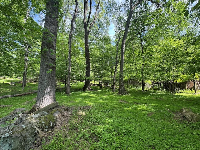 68 Union School Rd, Montgomery, NY 12549 - view of nature