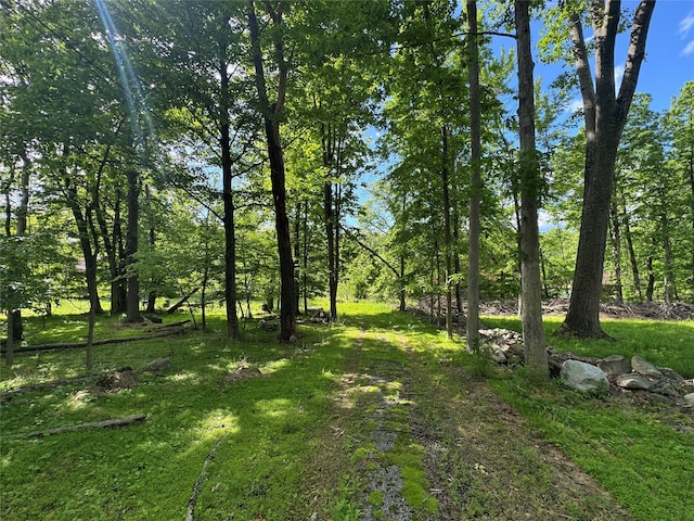 68 Union School Rd, Montgomery, NY 12549 - view of green lawn