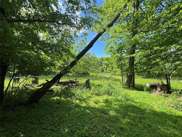 68 Union School Rd, Montgomery, NY 12549 - view of undeveloped land