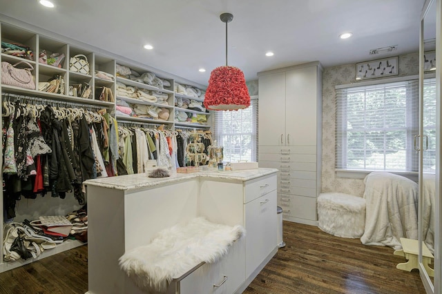 70A Davis Rd, Port Washington, NY 11050 - spacious closet with dark wood-style floors