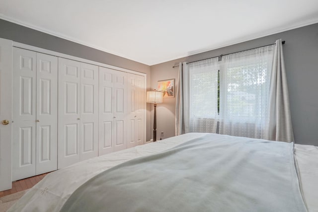 29 Patchogue Rd, Sound Beach, NY 11789 - bedroom featuring wood finished floors, crown molding, and a closet