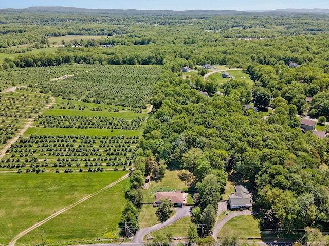 1024 Plains Rd, Wallkill, NY 12589 - view of rural area with farmland