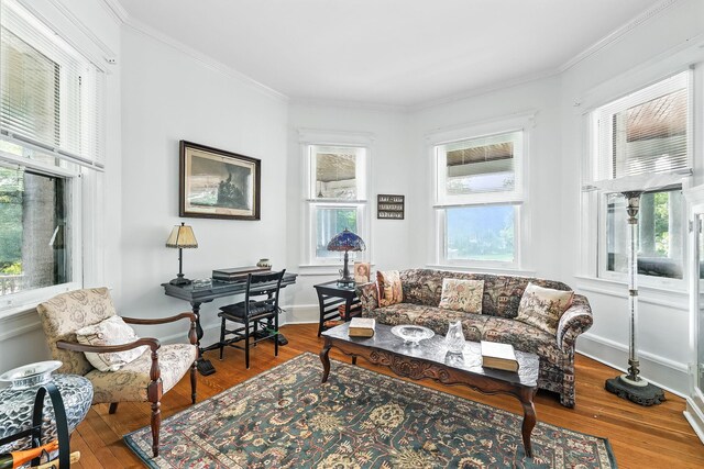 43 Broadview Ave, New Rochelle, NY 10804 - photo 11