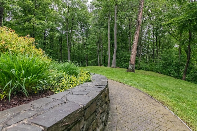 1206 Hollow Rd, Clinton Corners, NY 12514 - view of community with a lawn and a view of trees