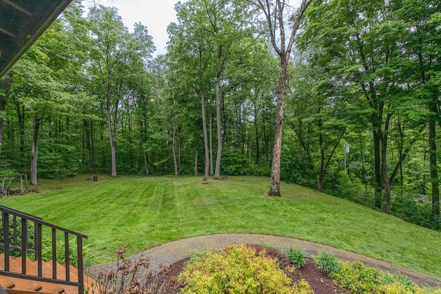 1206 Hollow Rd, Clinton Corners, NY 12514 - view of green lawn