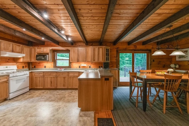 1206 Hollow Rd, Clinton Corners, NY 12514 - kitchen with white gas range oven, under cabinet range hood, black microwave, a sink, and wooden walls