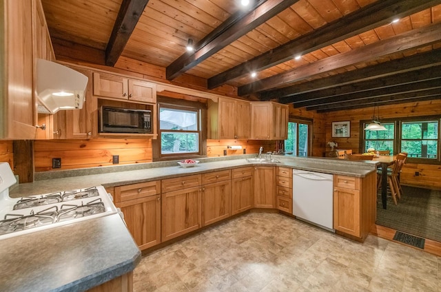 1206 Hollow Rd, Clinton Corners, NY 12514 - kitchen with dishwasher, black microwave, exhaust hood, wooden walls, and a peninsula