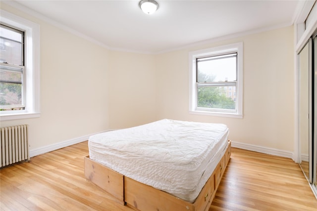 19 William St Unit 3G, Mount Vernon, NY 10552 - bedroom with radiator, light wood-type flooring, ornamental molding, and a closet