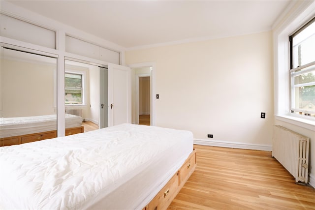 19 William St Unit 3G, Mount Vernon, NY 10552 - bedroom with radiator, multiple closets, and light wood-type flooring